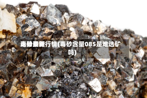毒砂费用走势最新行情(毒砂含量085是难选矿吗)
