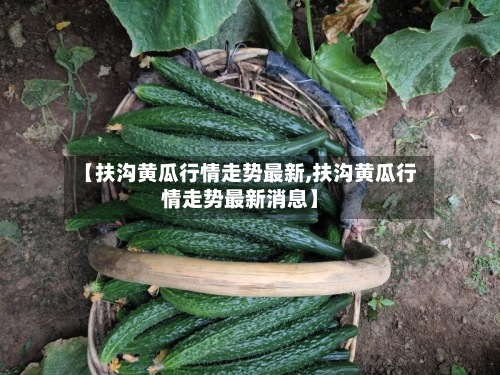 【扶沟黄瓜行情走势最新,扶沟黄瓜行情走势最新消息】
