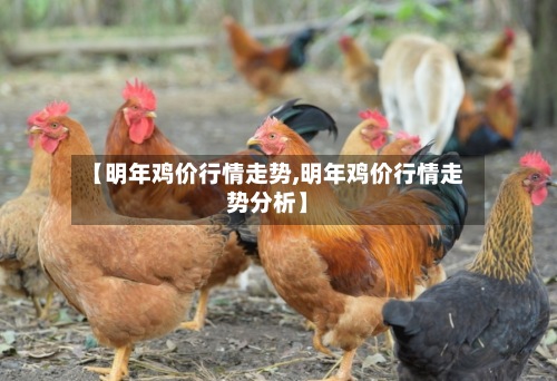【明年鸡价行情走势,明年鸡价行情走势分析】