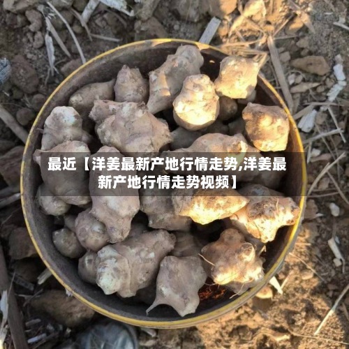 最近【洋姜最新产地行情走势,洋姜最新产地行情走势视频】