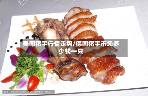 美国猪手行情走势/德国猪手市场多少钱一只
