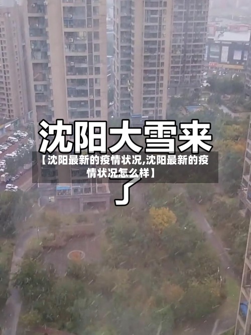 【沈阳最新的疫情状况,沈阳最新的疫情状况怎么样】