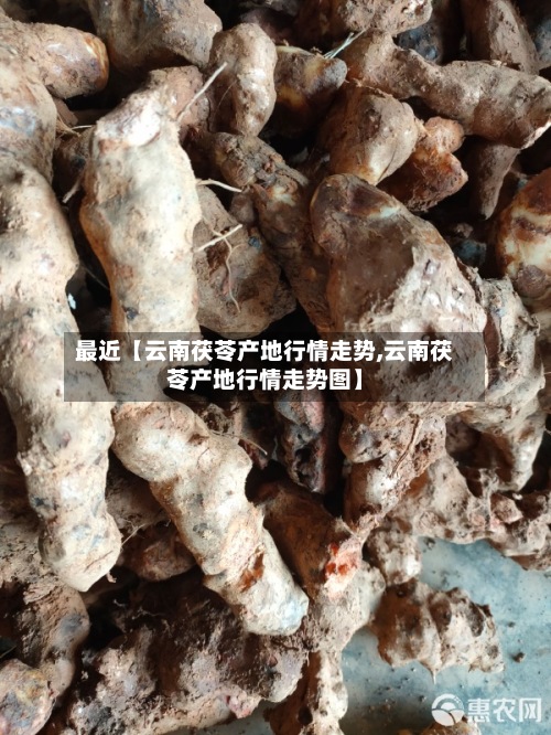 最近【云南茯苓产地行情走势,云南茯苓产地行情走势图】