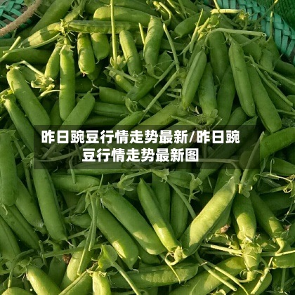 昨日豌豆行情走势最新/昨日豌豆行情走势最新图-第3张图片