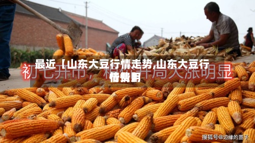 最近【山东大豆行情走势,山东大豆行情费用
行情】-第2张图片