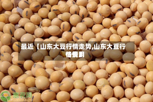 最近【山东大豆行情走势,山东大豆行情费用行情】