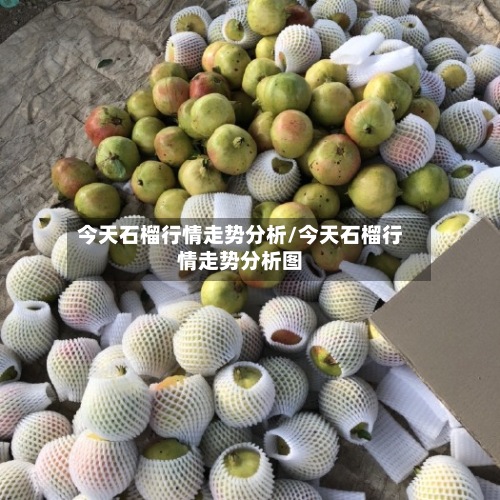 今天石榴行情走势分析/今天石榴行情走势分析图