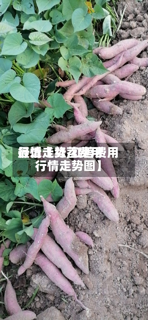 最近【红苕费用
行情走势,红苕费用
行情走势图】-第2张图片