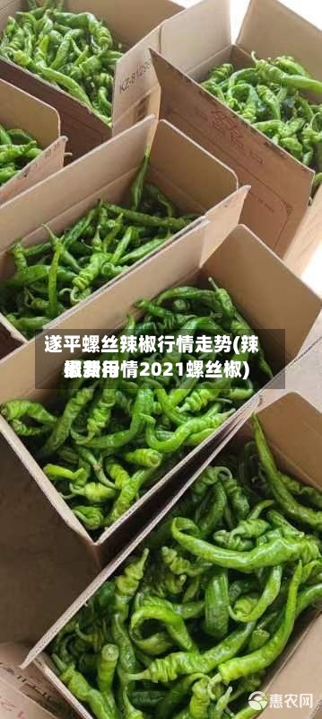 遂平螺丝辣椒行情走势(辣椒费用
最新行情2021螺丝椒)-第2张图片
