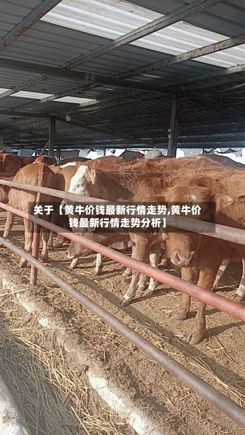 关于【黄牛价钱最新行情走势,黄牛价钱最新行情走势分析】-第2张图片