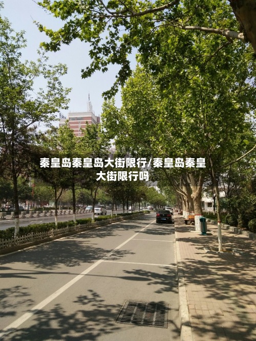 秦皇岛秦皇岛大街限行/秦皇岛秦皇大街限行吗