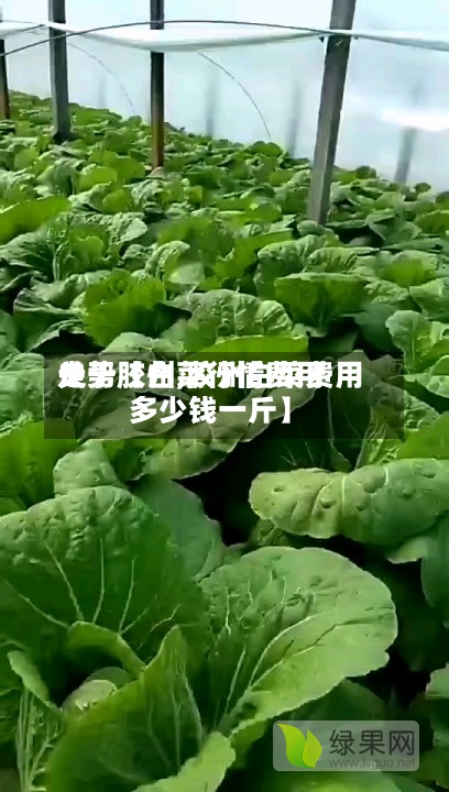 关于【白菜行情费用
走势胶州,胶州白菜费用
多少钱一斤】