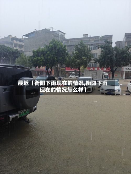 最近【衡阳下雨现在的情况,衡阳下雨现在的情况怎么样】-第2张图片