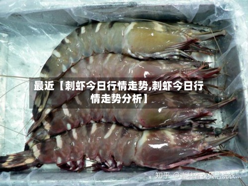 最近【刺虾今日行情走势,刺虾今日行情走势分析】-第2张图片