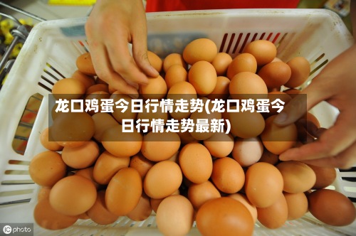龙口鸡蛋今日行情走势(龙口鸡蛋今日行情走势最新)