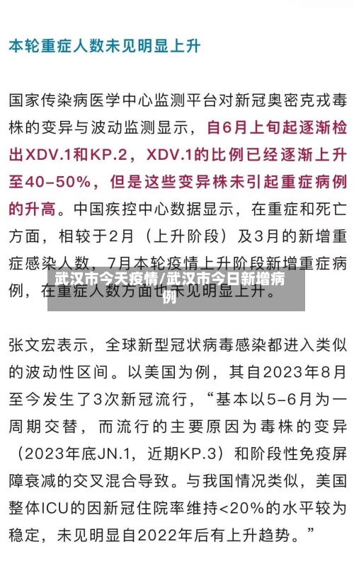 武汉市今天疫情/武汉市今日新增病例