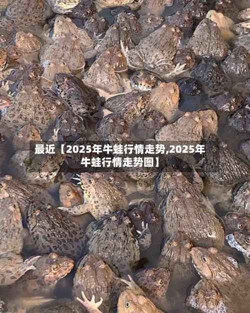 最近【2025年牛蛙行情走势,2025年牛蛙行情走势图】