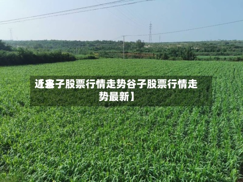 近来
【谷子股票行情走势谷子股票行情走势最新】