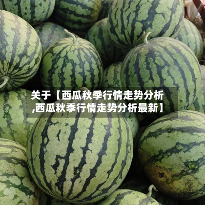 关于【西瓜秋季行情走势分析,西瓜秋季行情走势分析最新】