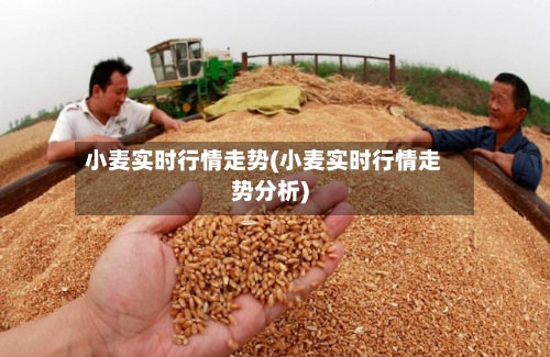 小麦实时行情走势(小麦实时行情走势分析)