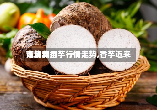 【历年香芋行情走势,香芋近来市场费用走势】