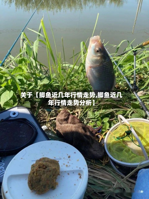 关于【鲫鱼近几年行情走势,鲫鱼近几年行情走势分析】-第2张图片
