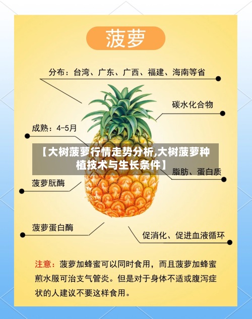 【大树菠萝行情走势分析,大树菠萝种植技术与生长条件】-第2张图片