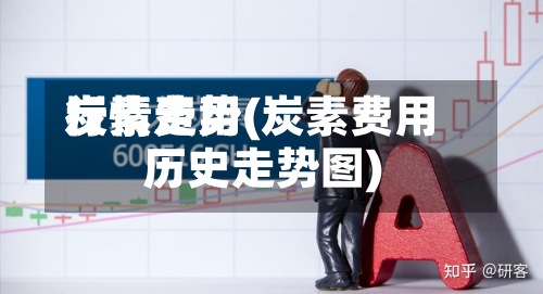 炭素费用
行情走势(炭素费用
历史走势图)