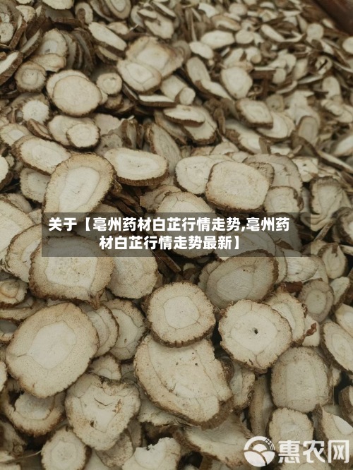 关于【亳州药材白芷行情走势,亳州药材白芷行情走势最新】