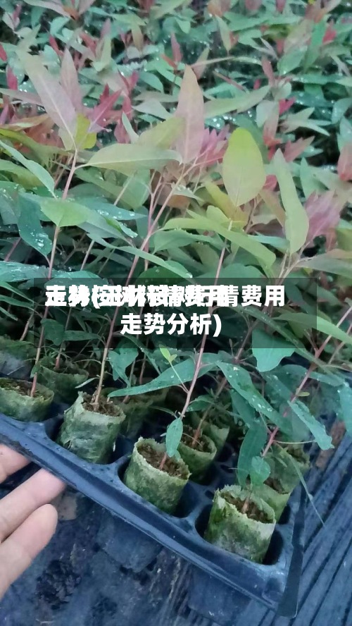 玉林桉树行情费用
走势(玉林桉树行情费用
走势分析)