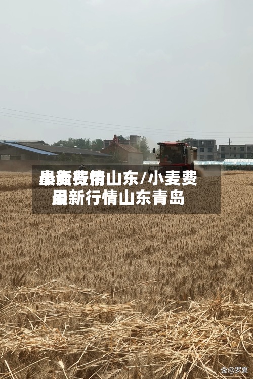 小麦费用
最新行情山东/小麦费用
最新行情山东青岛-第3张图片