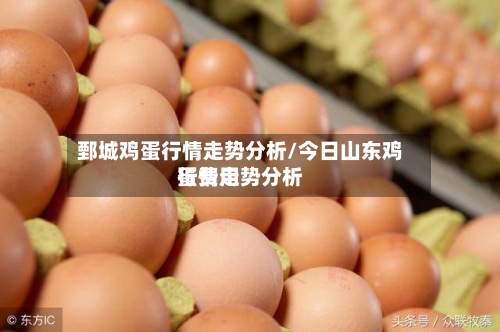 鄄城鸡蛋行情走势分析/今日山东鸡蛋费用行情走势分析