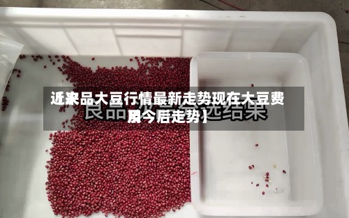 近来
【次品大豆行情最新走势现在大豆费用
及今后走势】-第3张图片