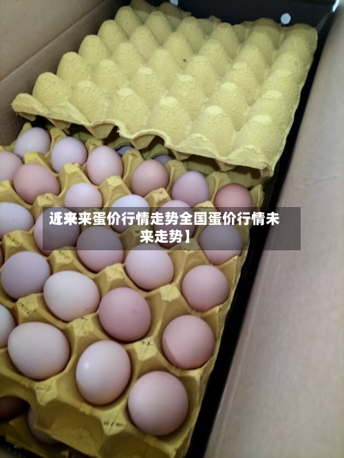 近来
【未来蛋价行情走势全国蛋价行情未来走势】-第3张图片