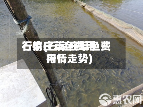 石家庄草鱼费用
行情(石家庄草鱼费用
行情走势)