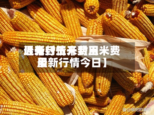 近来
【开封玉米费用
最新行情开封玉米费用
最新行情今日】-第3张图片