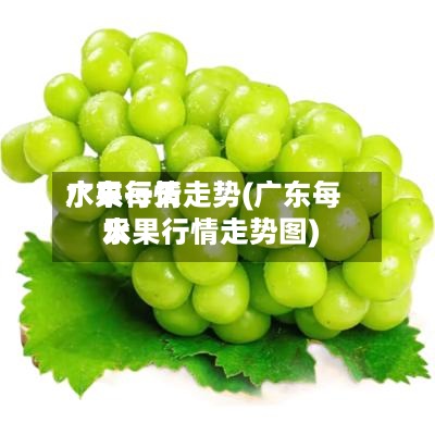 广东每天水果行情走势(广东每天水果行情走势图)