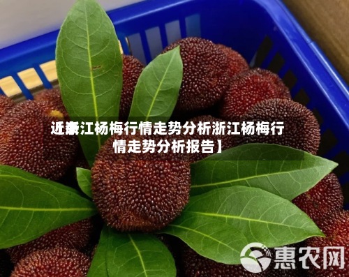 近来
【浙江杨梅行情走势分析浙江杨梅行情走势分析报告】