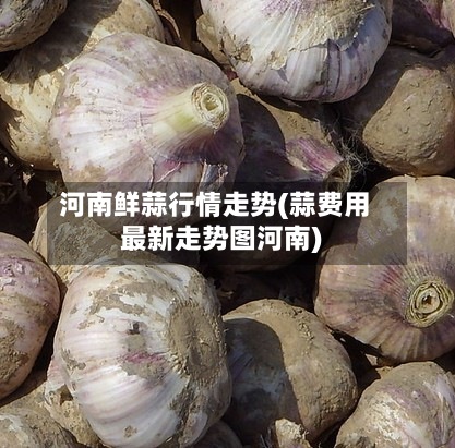 河南鲜蒜行情走势(蒜费用
最新走势图河南)