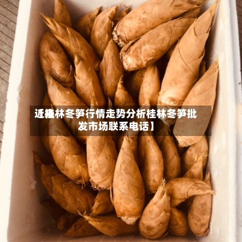 近来【桂林冬笋行情走势分析桂林冬笋批发市场联系电话】