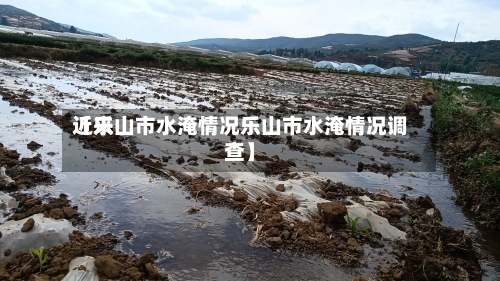 近来
【乐山市水淹情况乐山市水淹情况调查】
