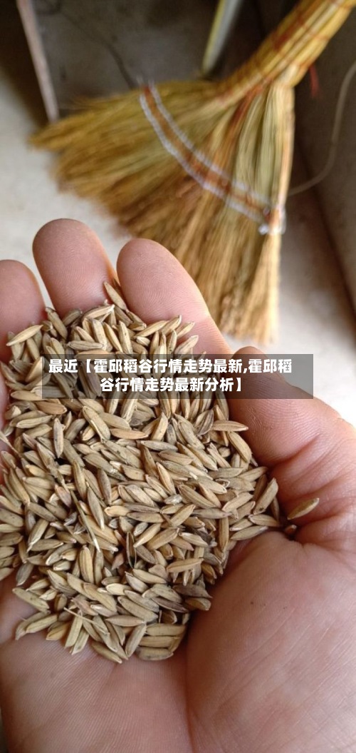 最近【霍邱稻谷行情走势最新,霍邱稻谷行情走势最新分析】