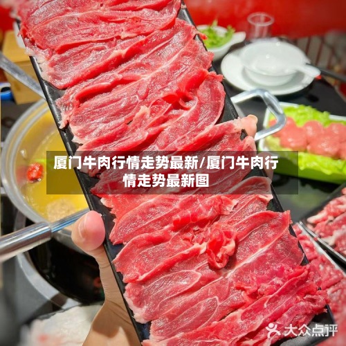 厦门牛肉行情走势最新/厦门牛肉行情走势最新图
