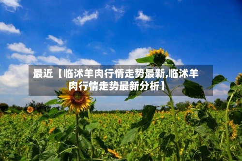 最近【临沭羊肉行情走势最新,临沭羊肉行情走势最新分析】-第3张图片