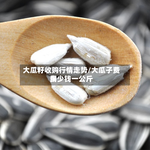 大瓜籽收购行情走势/大瓜子费用多少钱一公斤