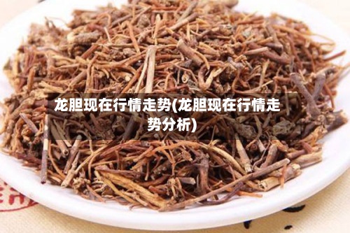 龙胆现在行情走势(龙胆现在行情走势分析)-第3张图片