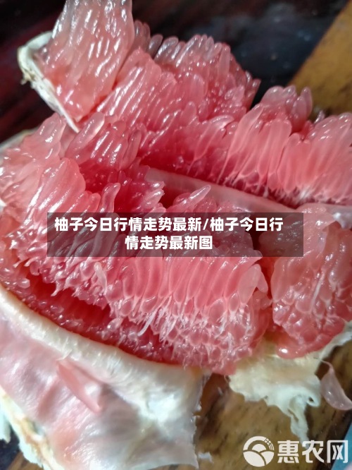 柚子今日行情走势最新/柚子今日行情走势最新图