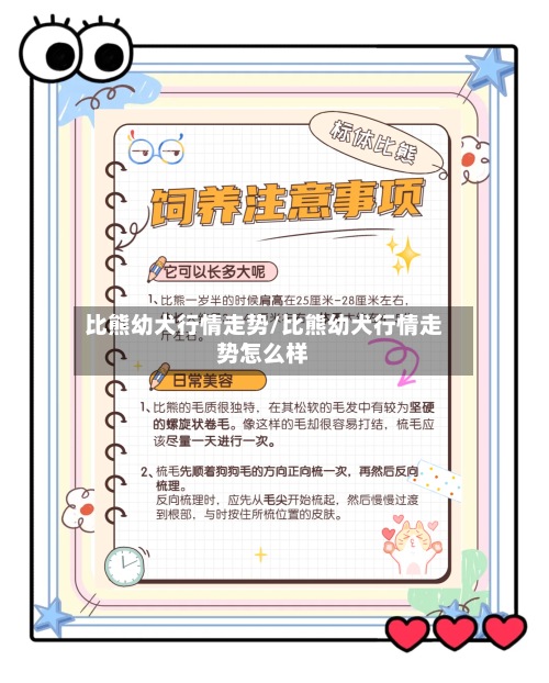比熊幼犬行情走势/比熊幼犬行情走势怎么样-第2张图片