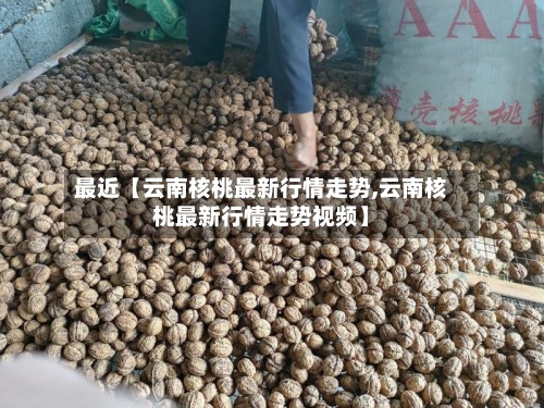 最近【云南核桃最新行情走势,云南核桃最新行情走势视频】-第2张图片