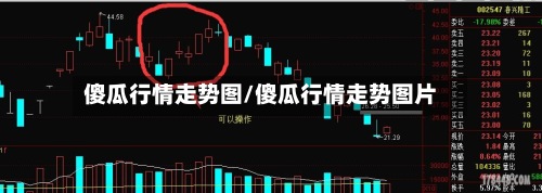 傻瓜行情走势图/傻瓜行情走势图片